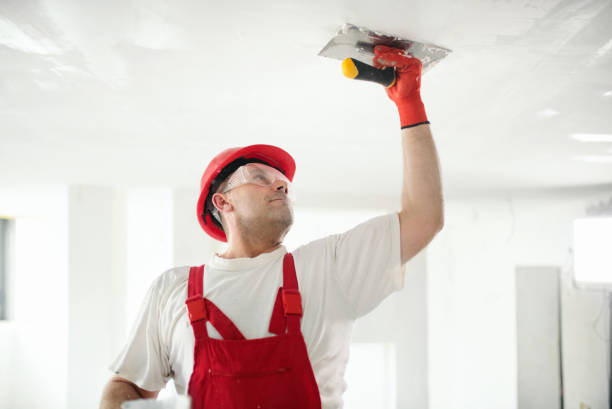 Best Interior Painting  in Downs, IL